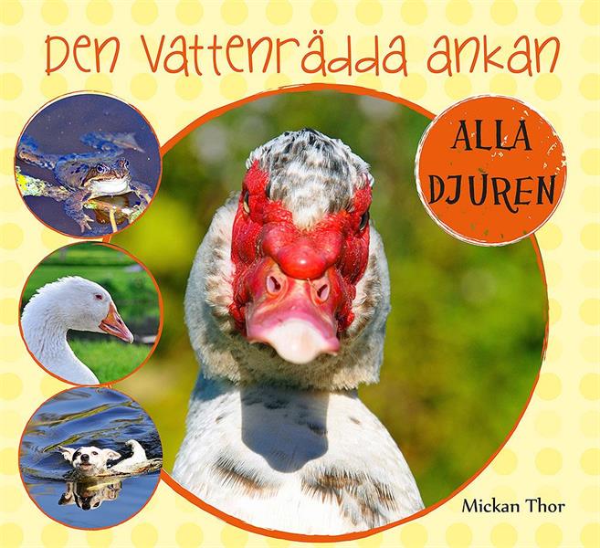 Den vattenrädda ankan